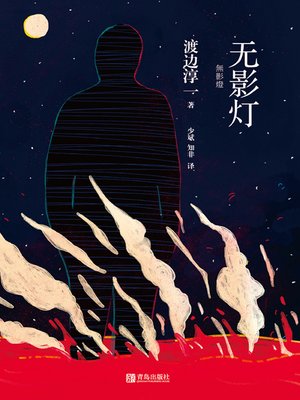 cover image of 无影灯
